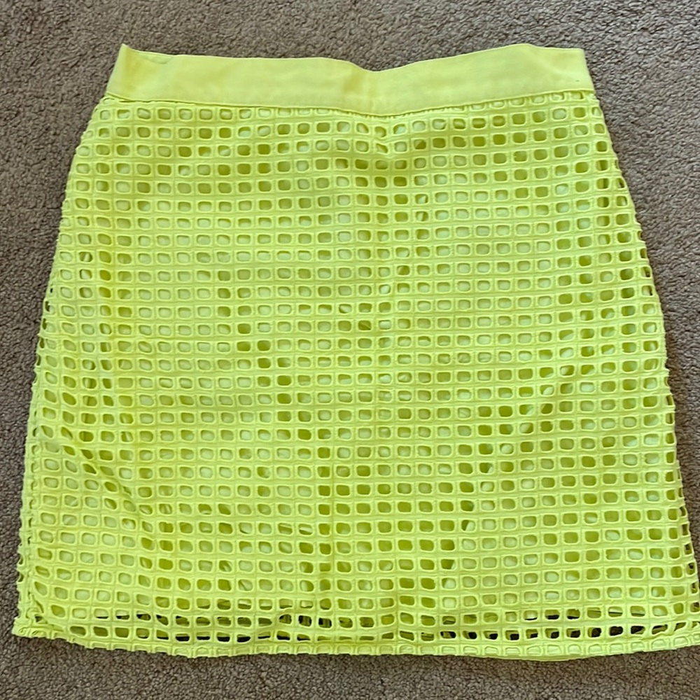 Loft Petite Skirt - 6 Petite
